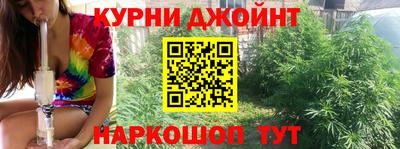 jwh Бердск