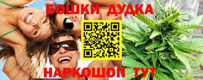jwh Бердск