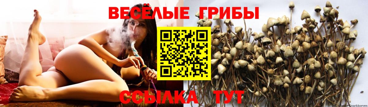 Галлюциногенные грибы ЛСД Набережные Челны